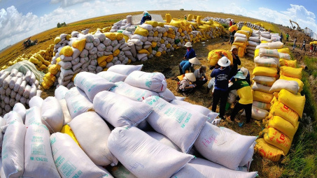 Bổ sung quy định về quyền kinh doanh xuất khẩu gạo