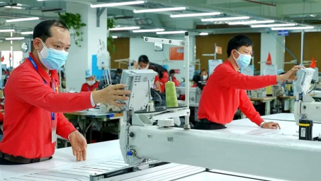 Doanh thu lên cao nhất 5 năm, Dệt may Phong Phú (PPH) sắp chia nốt cổ tức tiền mặt