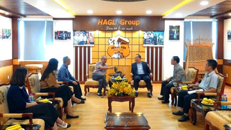 Hoàng Anh Gia Lai (HAG) “khoe” sắp thu hoạch 600 ha sầu riêng, có 7.000 ha chuối xuất khẩu