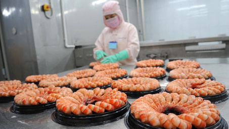 Vượt gió ngược, Thực phẩm Sao Ta (FMC) báo doanh số năm 2024 tăng 25%