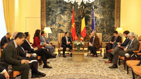 Việt Nam cam kết hiện thực hóa lưới điện ASEAN xanh, bền vững