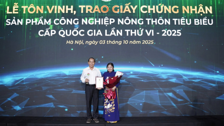 “Điều Rang Củi Hoàng Phú” Tự hào sản phẩm công nghiệp nông thôn tiêu biểu quốc gia 2025