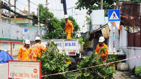 Tổng công ty Điện lực TP. Hồ Chí Minh chủ động đảm bảo an toàn điện trong mùa mưa bão