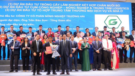 THACO AGRI sẽ triển khai 5 dự án với tổng vốn 11.000 tỷ đồng tại Gia Lai