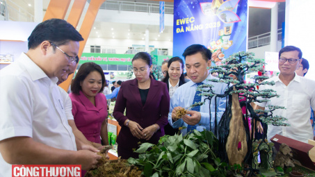 Đà Nẵng lấy ý kiến đối với Dự thảo Nghị quyết mới về hỗ trợ xúc tiến thương mại