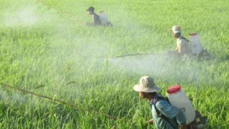 Đề xuất Danh mục thuốc bảo vệ thực vật được phép sử dụng, cấm sử dụng tại Việt Nam