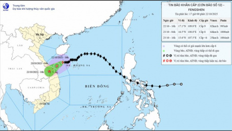 Thủ tướng chỉ đạo đình hoãn các cuộc họp không cấp bách để ứng phó bão, mưa lũ, ngập lụt