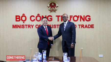 Thúc đẩy hợp tác, đàm phán nhằm phát triển quan hệ thương mại Việt Nam - Nam Phi