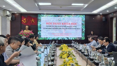 Chuyển đổi chuỗi giá trị cà phê: Thúc đẩy chi trả dịch vụ môi trường rừng và phát triển bền vững