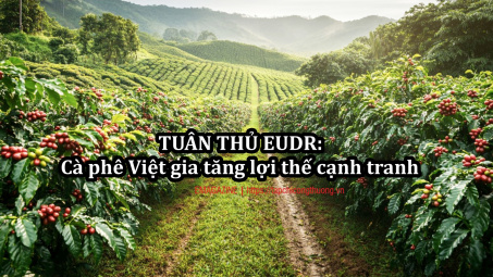 [eMagazine] Tuân thủ EUDR: Cà phê Việt gia tăng lợi thế cạnh tranh