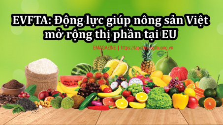 [eMagazine] EVFTA: Động lực giúp nông sản Việt mở rộng thị phần tại EU