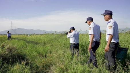 Ngăn chặn nạn săn bắt trái phép để phát triển chim yến bền vững ở Khánh Hoà