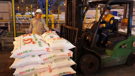 Quý III/2025 Đạm Phú Mỹ báo lãi gấp 3,6 lần so với cùng kỳ