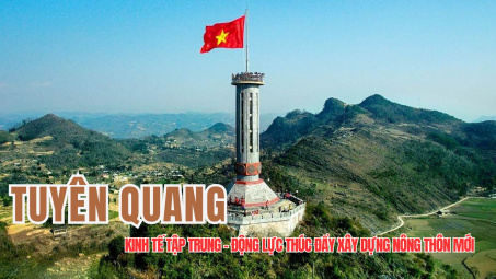 Kinh tế tập trung - động lực thúc đẩy xây dựng nông thôn mới Tuyên Quang