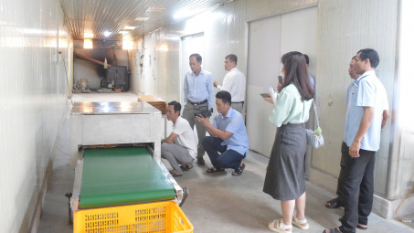 Cà Mau ban hành Chương trình Khuyến công giai đoạn 2026–2030: Thúc đẩy công nghiệp nông thôn phát triển bền vững