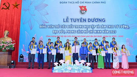 Đoàn Thanh niên Chính phủ: Tuyên dương 95 đảng viên trẻ tiêu biểu học tập và làm theo lời Bác