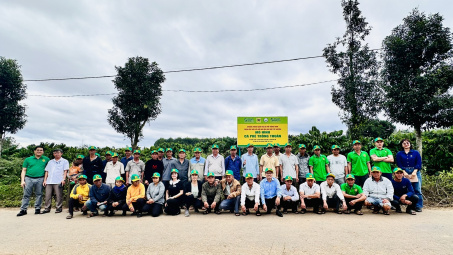 Hệ thống Canh tác Cà phê Thông minh - Vai trò tích hợp của Công nghệ và Phân bón