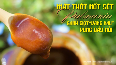 [eMagazine] Mật thốt nốt sệt Palmania - Sánh giọt “vàng nâu” vùng Bảy Núi