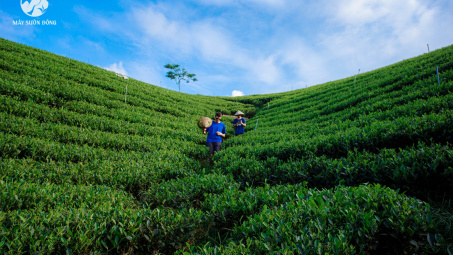 Thái Nguyên: Phân bổ hơn 270 tỷ đồng cho công tác giảm nghèo