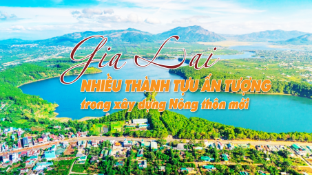Tỉnh Gia Lai: Nhiều thành tựu ấn tượng trong xây dựng Nông thôn mới
