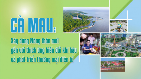 Cà Mau: Xây dựng NTM gắn với thích ứng biến đổi khí hậu và phát triển thương mại điện tử