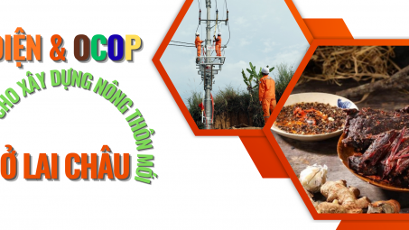 Điện & OCOP: Đòn bẩy cho xây dựng Nông thôn mới ở Lai Châu