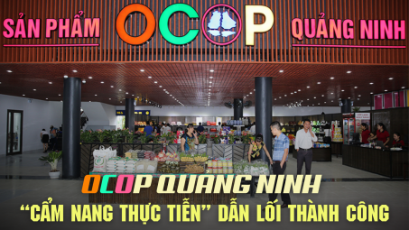 [eMagazine] OCOP Quảng Ninh - “Cẩm nang thực tiễn” dẫn lối thành công