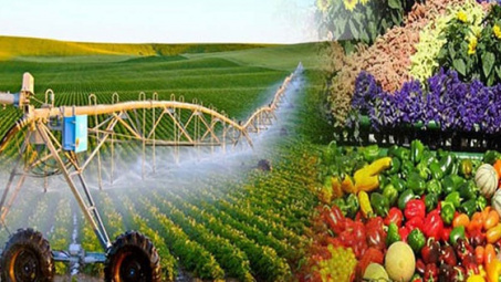 Xu hướng xanh hóa chuỗi cung ứng trong nông nghiệp tại Việt Nam