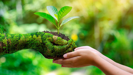 Ảnh hưởng của đổi mới xanh đến hiệu quả hoạt động kinh doanh của các công ty cổ phần Logistics tại Thành phố Hồ Chí Minh