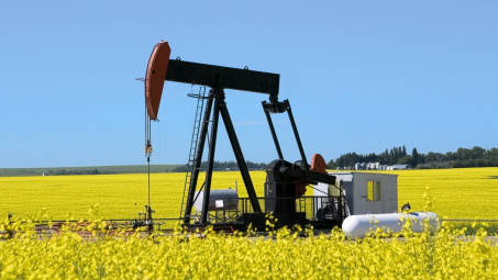 Giá xăng dầu hôm nay 3/11: OPEC+ ngừng tăng sản lượng trong quý I/2026