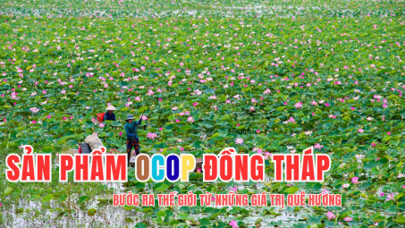 Sản phẩm OCOP Đồng Tháp: Bước ra thế giới từ những giá trị quê hương