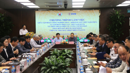 TKV: Hợp tác cung cấp dài hạn than nhập khẩu cho nhà máy nhiệt điện của EVN