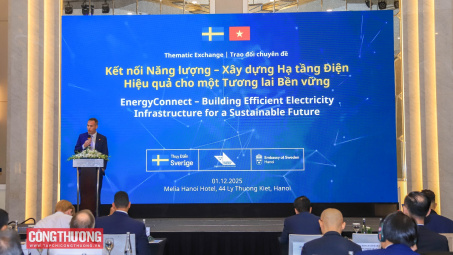 Thụy Điển đề xuất các giải pháp xây dựng hạ tầng điện hiệu quả tại Việt Nam