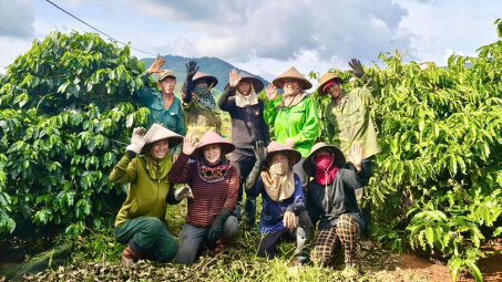 Gia Lai: Xây dựng nông thôn mới gắn với thúc đẩy phát triển công nghiệp nông thôn