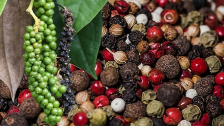 Giá tiêu hôm nay 13/12: Xuất khẩu lập kỷ lục mới, hướng tới mốc 1,6 tỷ USD năm 2025