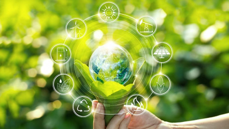 Gian lận trong xác minh tín chỉ carbon tự nguyện: Hàm ý pháp lý và ESG qua trường hợp Verra và bài học kinh nghiệm cho Việt Nam