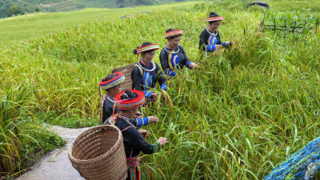 Thái Nguyên sau sáp nhập: Phát huy vai trò truyền thông chính sách để giảm nghèo hiệu quả