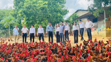 Tân Khánh (Thái Nguyên) đảm bảo an sinh xã hội hướng đến “không ai bị bỏ lại phía sau”