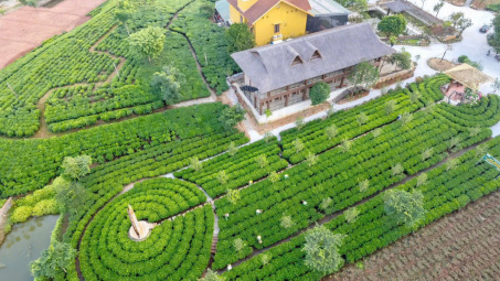 Tân Cương (Thái Nguyên): Phấn đấu trở thành trung tâm du lịch sinh thái gắn với vùng chè vào năm 2030