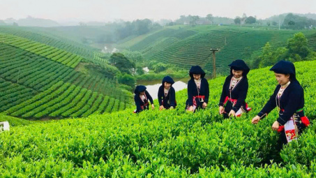 Thái Nguyên: Hướng mục tiêu giảm tỷ lệ nghèo đa chiều 1-1,5%/năm giai đoạn 2026-2030