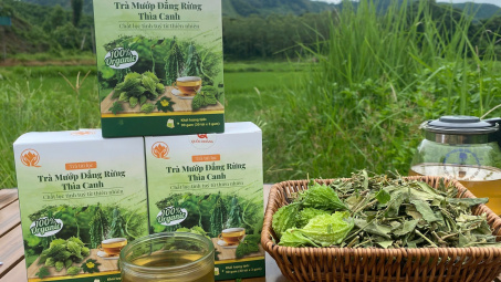 Thái Nguyên: Lan tỏa những mô hình kinh tế bền vững từ những hạt nhân điển hình.