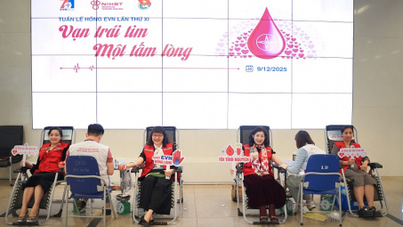 Tuần lễ hồng EVN lần thứ XI: Vạn trái tim - Một tấm lòng