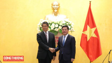 Việt Nam - Nhật Bản tích cực triển khai các hoạt động hợp tác liên quan đến điện khí LNG