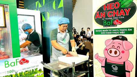 Dự báo giá heo hơi neo cao, BaF Việt Nam (BAF) hé lộ giá vốn thấp bất ngờ