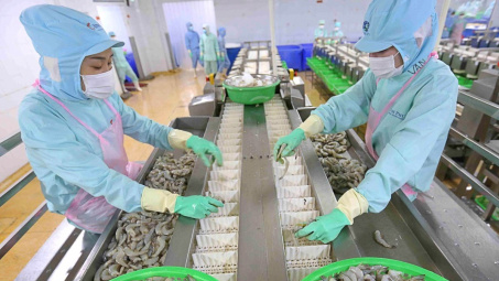 Điều gì khiến "Vua tôm" Thủy sản Minh Phú (MPC) chịu mức lỗ kỷ lục?