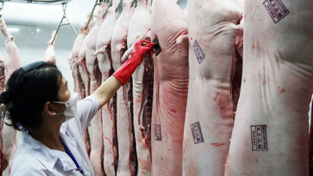 Đánh giá chính sách thu hút đầu tư vào cơ sở giết mổ động vật tập trung