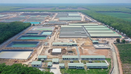 Lãnh đạo BaF Việt Nam (BAF) hé lộ lợi thế “người đi sau” giúp vượt mặt loạt ông lớn chăn nuôi - chế biến heo