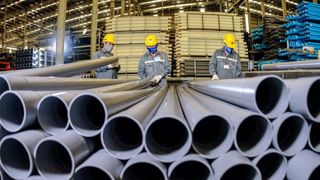 Tập đoàn Hoa Sen (HSG): Muốn phát hành riêng lẻ cổ phiếu Nhựa Hoa Sen, IPO chuỗi Hoa Sen Home