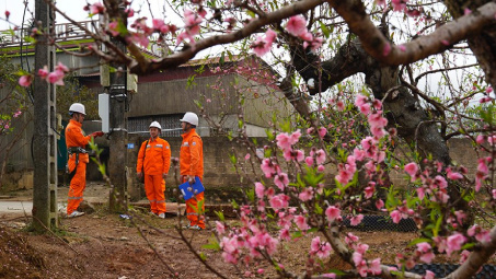 Tết Ất Tỵ 2025: Cung cấp điện ổn định, toàn hệ thống vận hành an toàn
