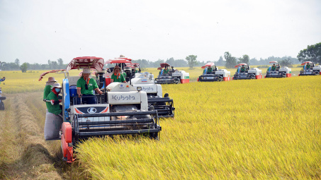 Cơ chế điều chỉnh biên giới carbon (CBAM): Kinh nghiệm quốc tế và hàm ý chính sách cho Việt Nam